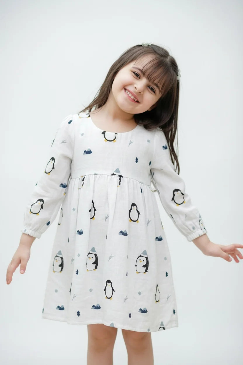 Muslin Frock (Dress)