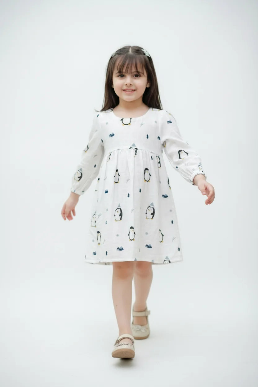 Muslin Frock (Dress)