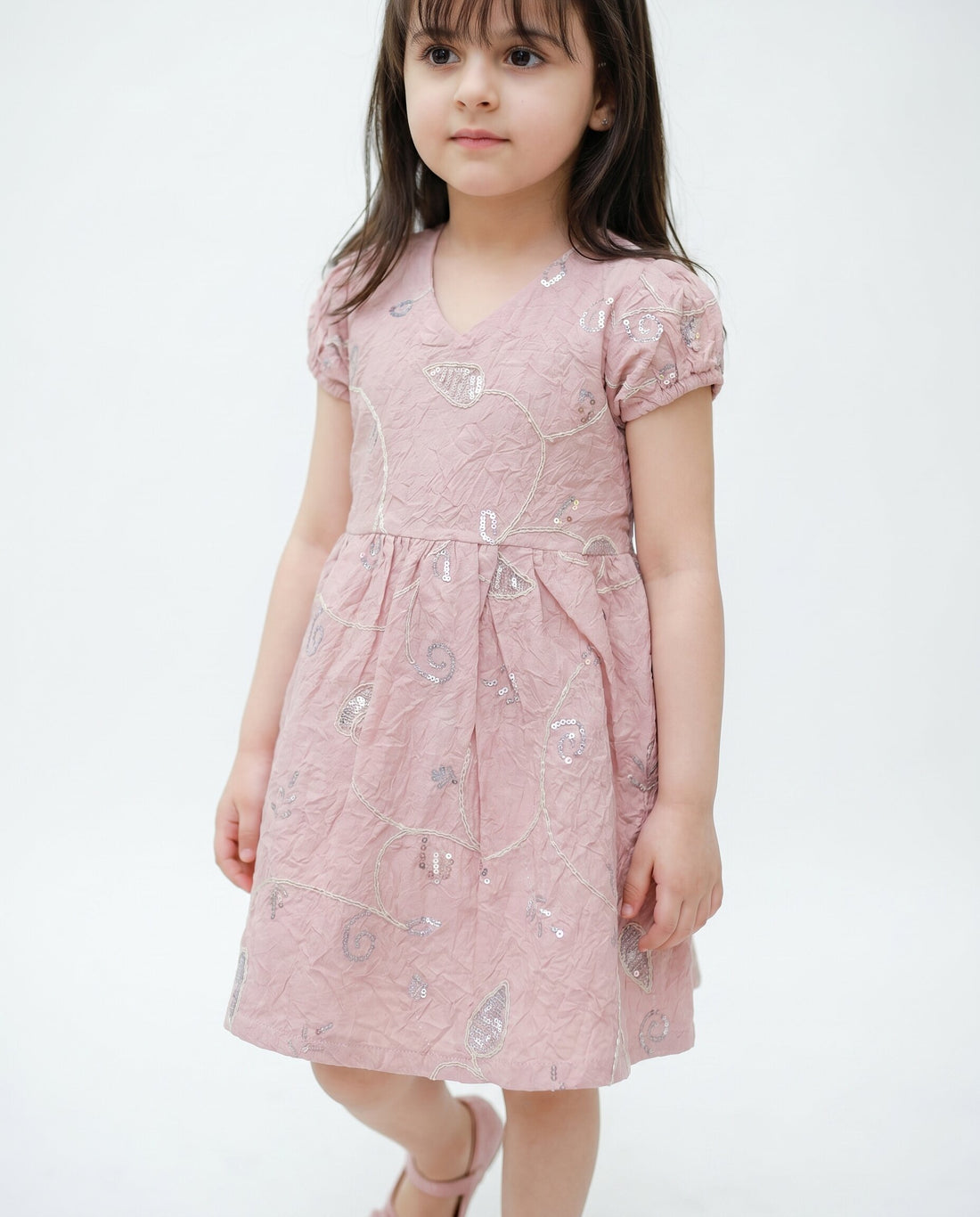 Embroidery Dress