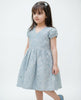 Embroidery Dress