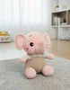 Soft Toy