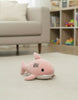 Soft Toy